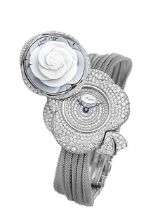 gj24bb8548ddcddcj99 open