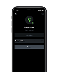 MU EN Burglar Alarm Armed crop