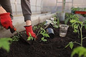 Smart Garden Irrigation Manchester