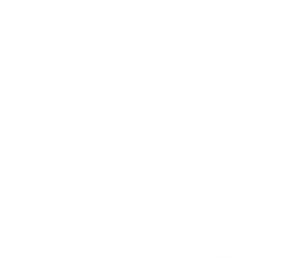 Painter artist 31 300x258 1